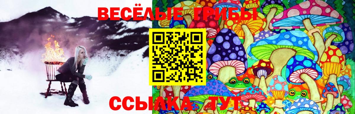 Галлюциногенные грибы Psilocybine cubensis  Вход с VPN  купить наркоту  Туймазы 